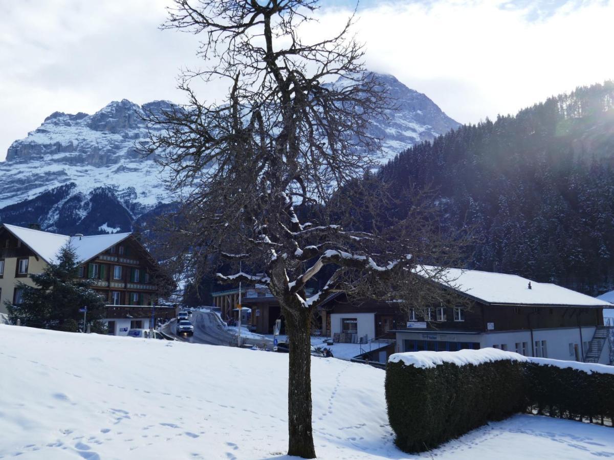 Apartment Chalet Schwendihus-10 By Interhome Grindelwald Esterno foto