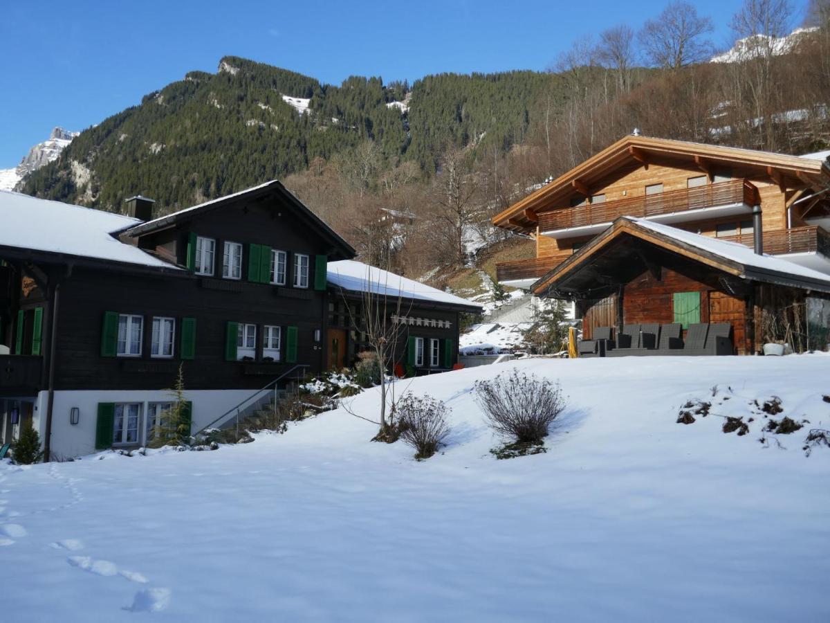 Apartment Chalet Schwendihus-10 By Interhome Grindelwald Esterno foto