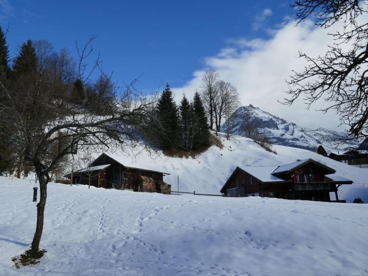 Apartment Chalet Schwendihus-10 By Interhome Grindelwald Esterno foto