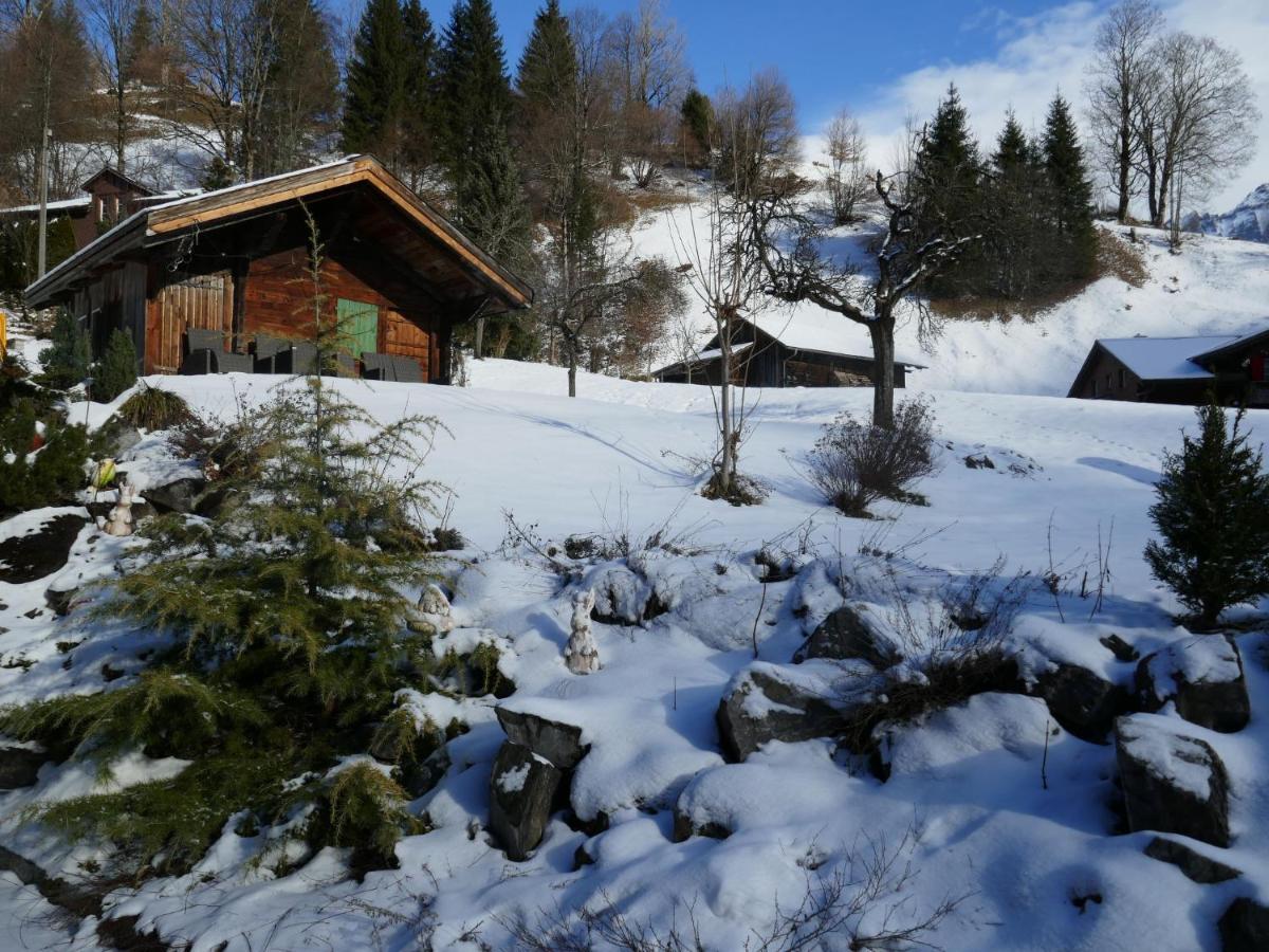 Apartment Chalet Schwendihus-10 By Interhome Grindelwald Esterno foto